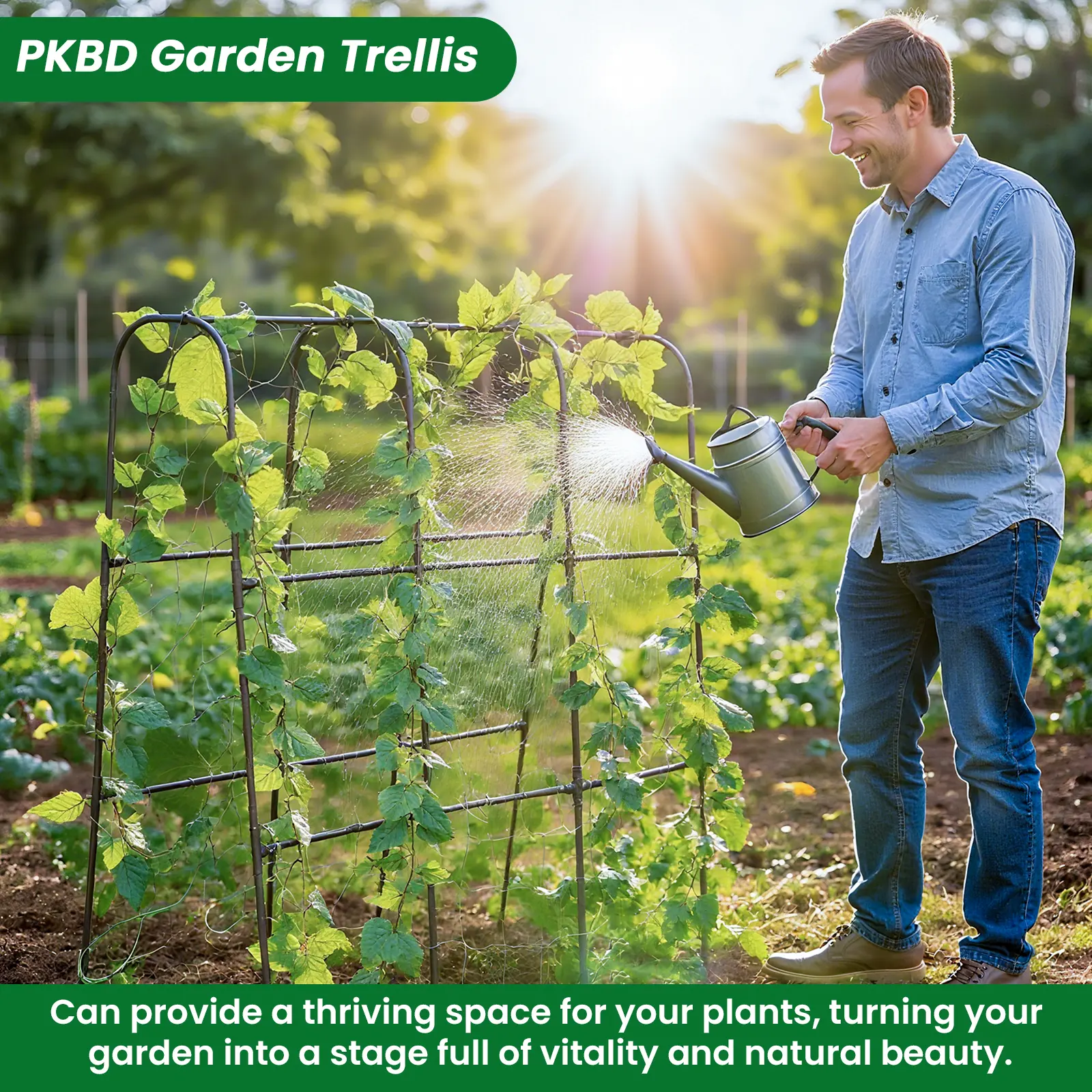 Tall Polyethylene-Coated Stainless Steel Garden Arch Trellis for Climbing Plants, 4/5/7/7.5 ft Black Trellis for Raised Garden Beds, Vine Vegetables & Fruits