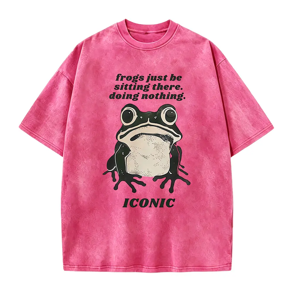 Funny Frog Meme T-Shirt, Funny meme shirt, unhinged shirt, weird shirt, trendy graphic tshirt