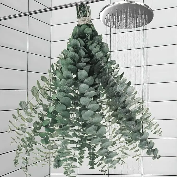 11 PCS Real Dried Eucalyptus Shower Hanging Decor - 17'' Large Eucalyptus Stems for Bathroom, Greenery Plant Bouquet for Home and Farmhouse Decor