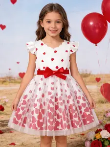 Cute Girls' Princess Dress with Heart Print and Contrast Mesh Hem, Perfect for Birthday Parties and Everyday Wear, Valentine's Day Gift, Spring Dresses, Tulle Overlay Dress