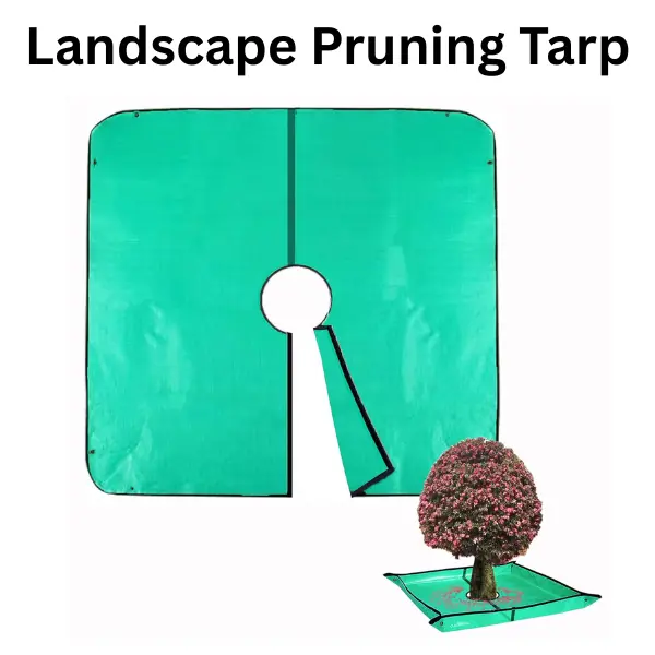 Practical Square Garden Debris Pruning Tarp - 78.7" x 78.7" with 12" Hole, Durable Light Waterproof Polyethylene Tarp for Landscape Maintenance, Tree Shrub Trimming, Easy-Clean with Corner Buckles