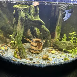 Aquarium Water Purification Tablets, Water Quality Dedicated To Clean Deodorizing Algae Stains Sludge Clear Fish Pond Aquarium Water Purification Tablets for Fish Pond Cleaner Eliminates Cloudy Substances Safely Removes Algae Stains