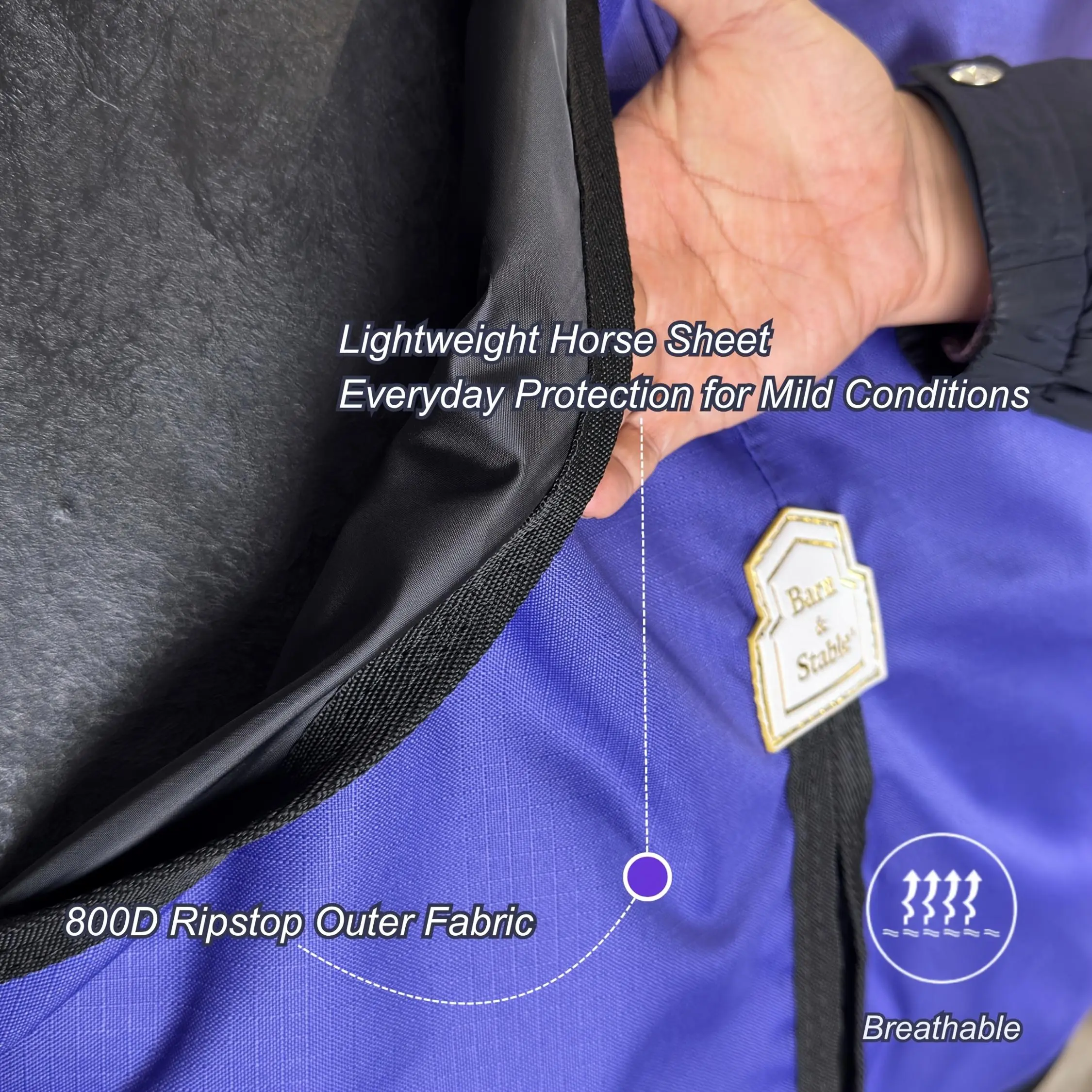 800D Ripstop Two-Tone Horse Turnout Sheet, 3000mm Waterproof and 3000 MVP Breathable No-Fill Rain Blanket with Dual Front Buckles and Cross-Belly Surcingles for Spring and Mild Weather, Equestrian Horse Supplies