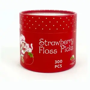 Strawberry Shortcake DNETAL Floss Picks 300 PCS for Oral Care