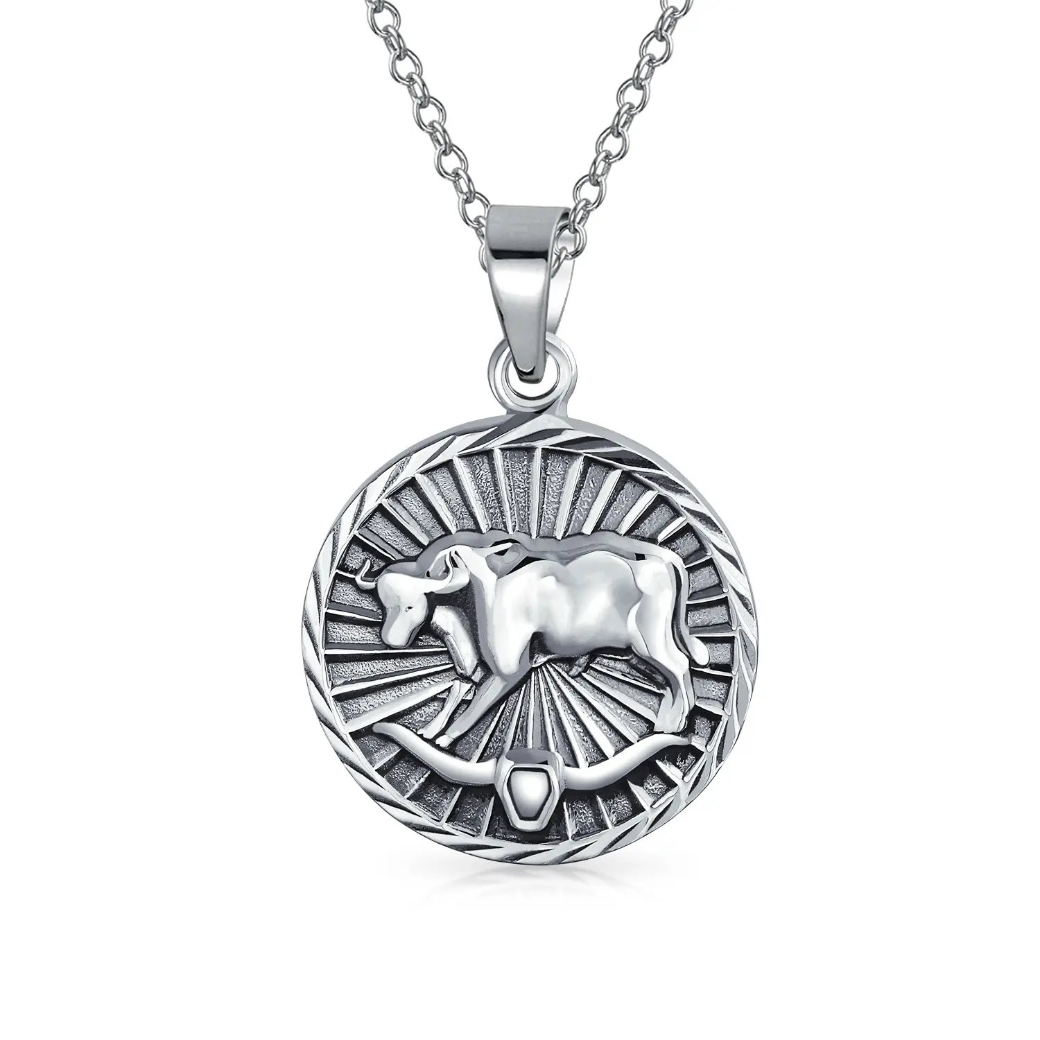 Taurus Zodiac Sign Astrology Horoscope Round Medallion Pendant Necklace Silver