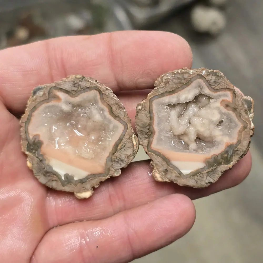 Baker Ranch Thunderegg - Natural Geode Collectible for Rock Enthusiasts