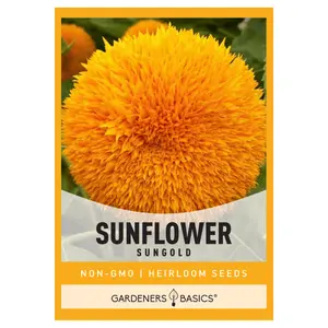 Dwarf Sungold Sunflower Seeds sunflower seed