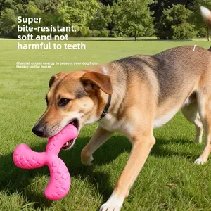 Dog toy soft rubber training frisbee, durable and chew-resistant, for outdoor entertainment and interaction