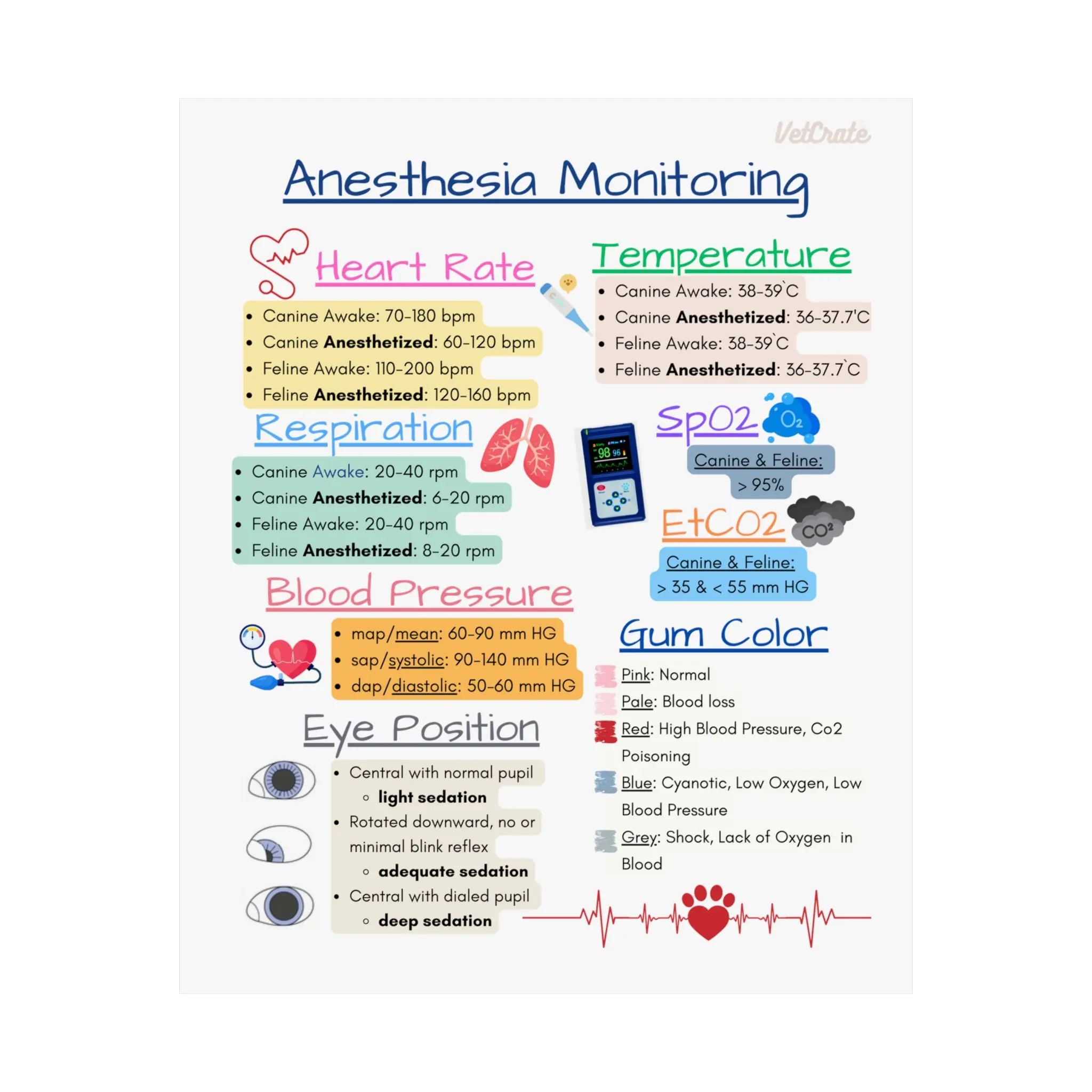 Veterinary Anesthesia Monitoring C DegreePoster|VetTech Notes|Veterinary Technician|VetNurse|Veterinary Nurse|Veterinary Medicine|Vet Med