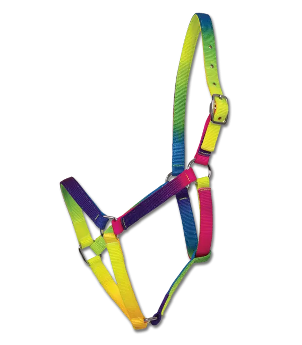 Rainbow Horse Halter Rainbow Horse Halter