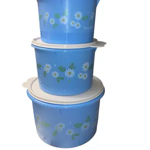 Daisy fridge container