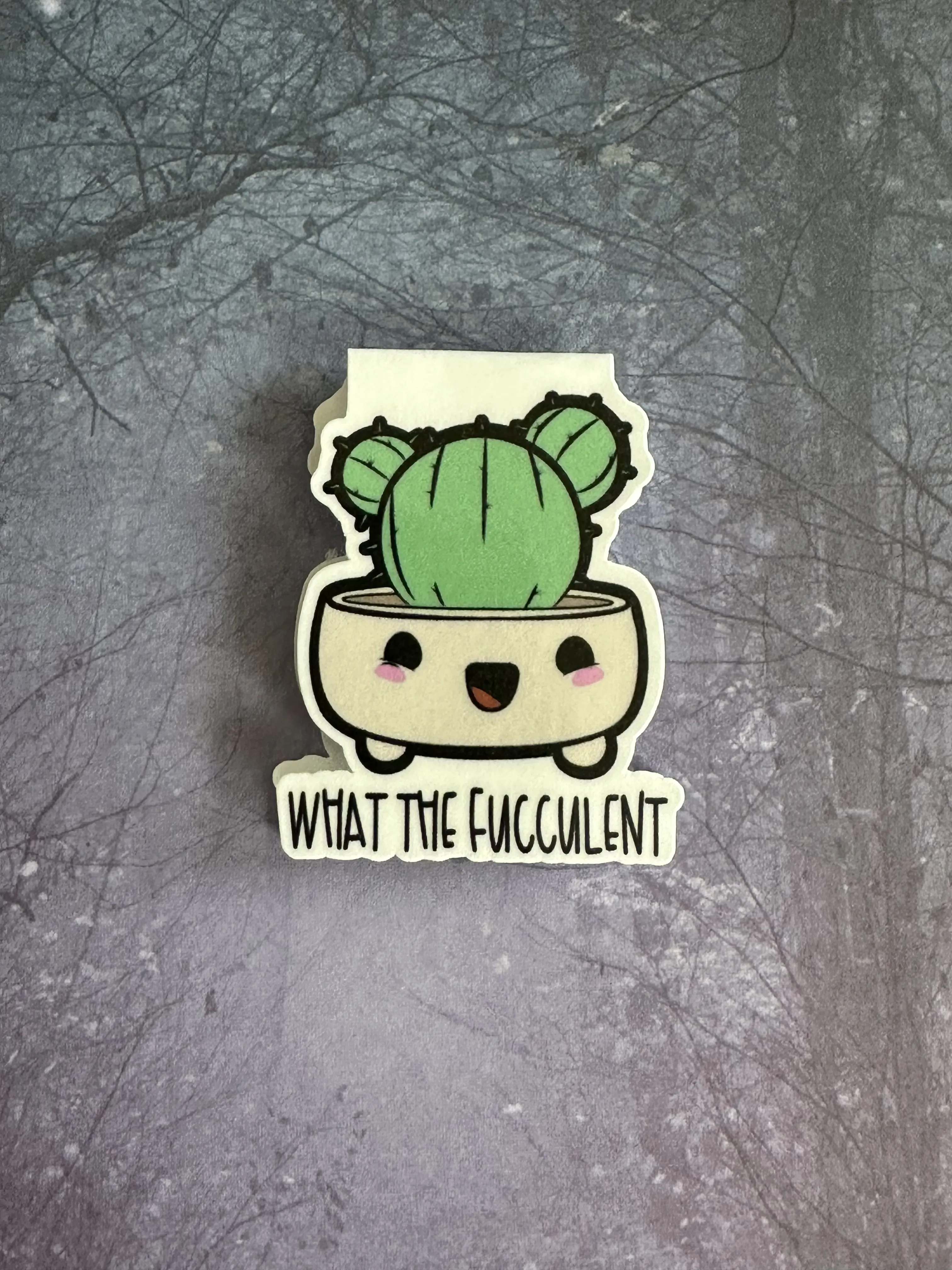 What the fucculent magnetic bookmark double sided