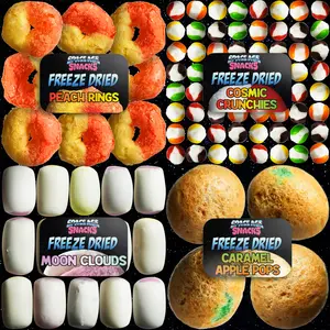 The 4 Pack- Freeze Dried Candy Sample Pack with Freeze Dried Peach Rings, Cosmic Crunchies, Moon Clouds and Caramel Apple Pops