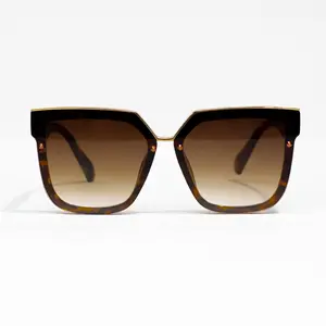 Hollywood Collection Sunglasses-1st Class Full Rim