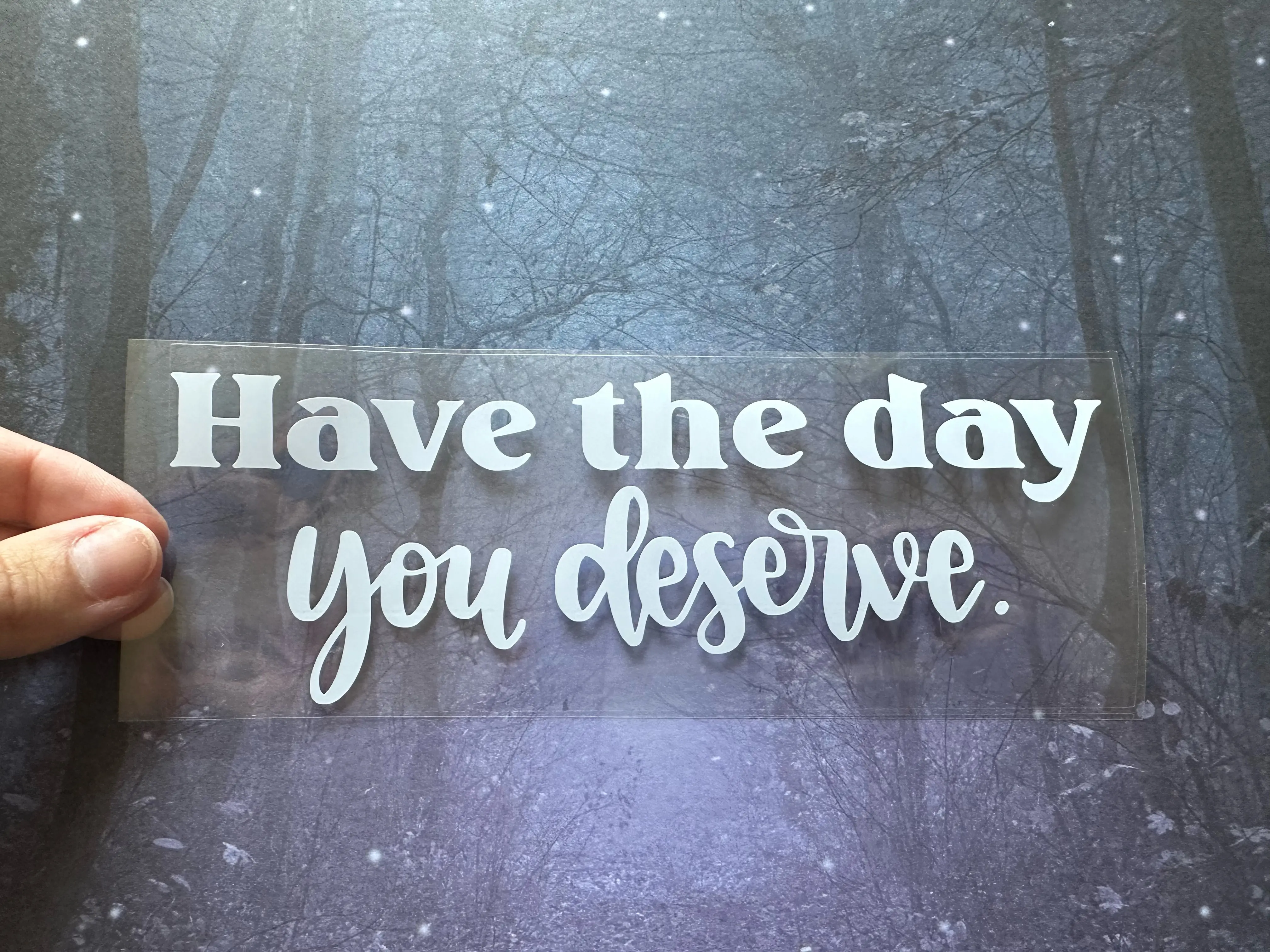 Have the day you deserve car/window/mirror decal