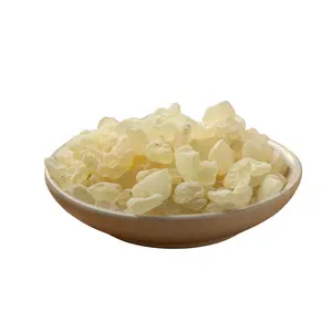 Slofoodgroup Mastic Gum Chios Mastiha from Greece