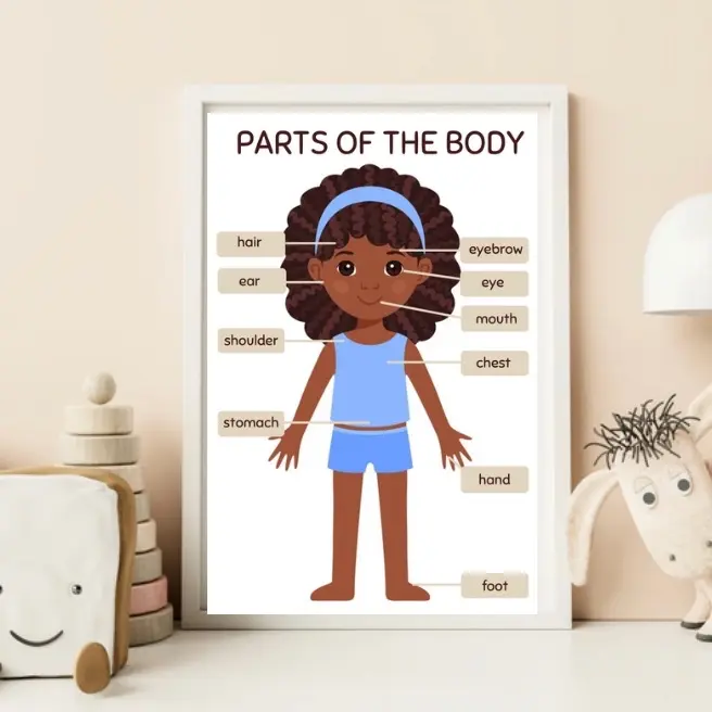 Parts Of The Body, Girl, Educational Poster, Printable Wall Art, Digital Download, Body Parts Poster, Teaching Resource, Homeschooling