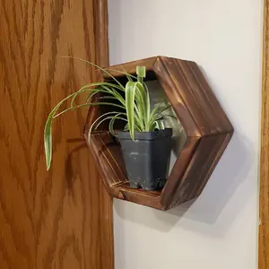 Small hexagon shelf