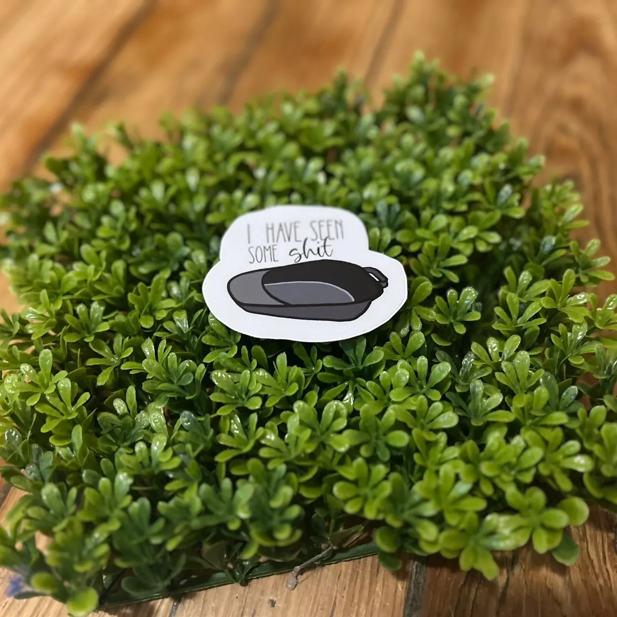 I have seen some sh**t bedpan sticker, Waterproof Gift Decoration