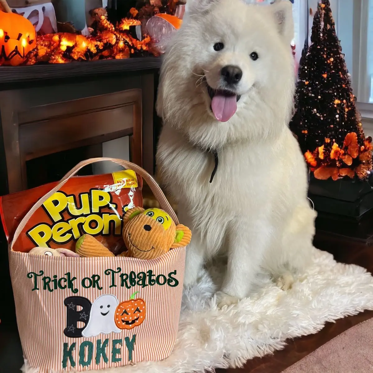 Personalized Halloween bag / halloween candy basket / Halloween costume/ custom candy basket / spooky season / hocus pocus / trick or treat bag / haunted / embroidered bag / ghost / kids bag / boo / witch hat / witch craft