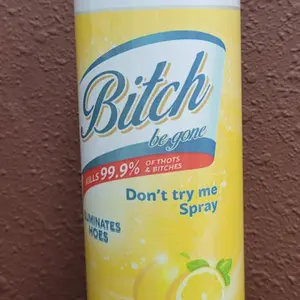 B!tch Cup Lemon