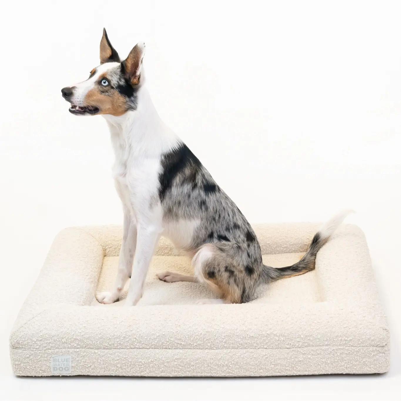 MEDIUM LUXURY BOUCLÉ BLUEWATER DOG BED IN CLOUD